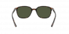 OKULARY RAY-BAN® LEONARD RB 2193 902/31 53 ROZMIAR M